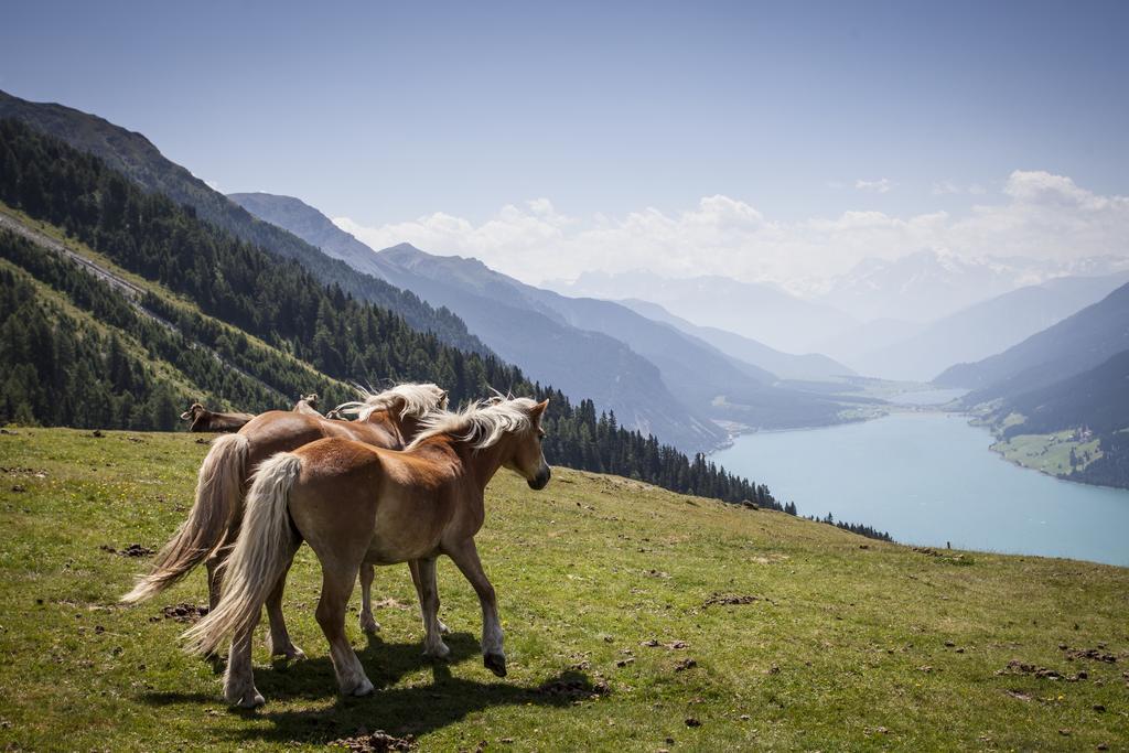 Apart Bergzeit Nauders Luaran gambar